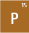 Phosphorus isotope: P-31